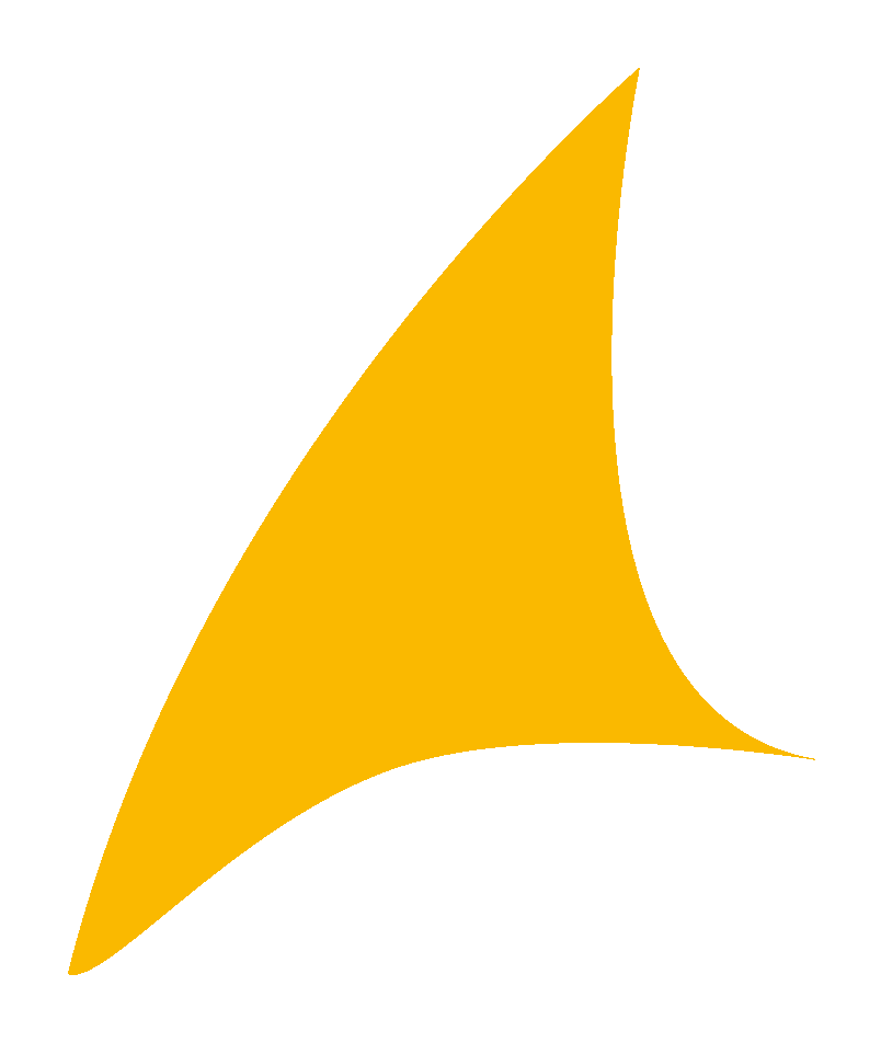 Vela