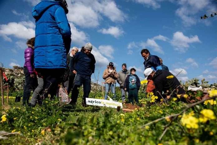 L'Agricola Mpidusa pianta 40 nuovi alberi da frutto