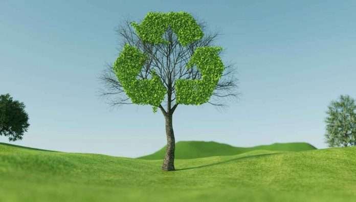 albero raccolta differenziata