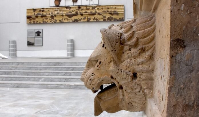Museo Salinas