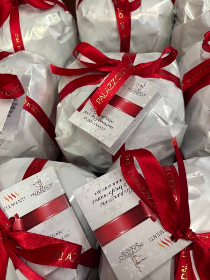 Panettone solidale di Elementi APS e Santi Palazzolo